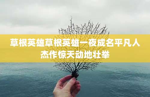 草根英雄草根英雄一夜成名平凡人杰作惊天动地壮举