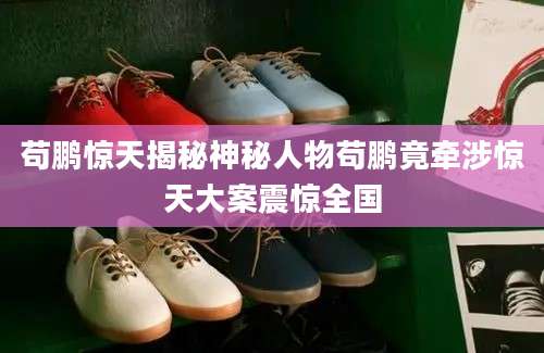 苟鹏惊天揭秘神秘人物苟鹏竟牵涉惊天大案震惊全国
