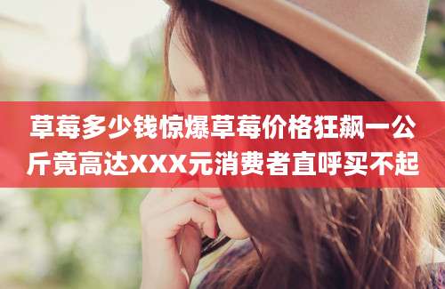 草莓多少钱惊爆草莓价格狂飙一公斤竟高达XXX元消费者直呼买不起