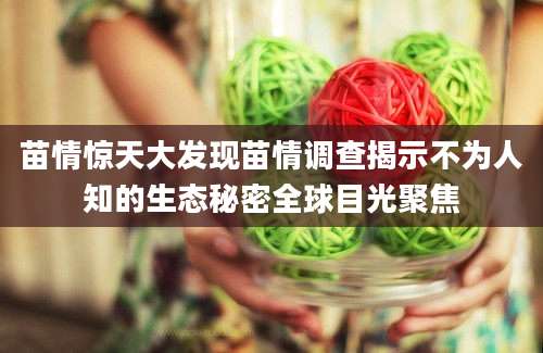 苗情惊天大发现苗情调查揭示不为人知的生态秘密全球目光聚焦