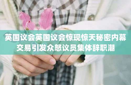 英国议会英国议会惊现惊天秘密内幕交易引发众怒议员集体辞职潮
