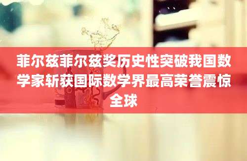 菲尔兹菲尔兹奖历史性突破我国数学家斩获国际数学界最高荣誉震惊全球
