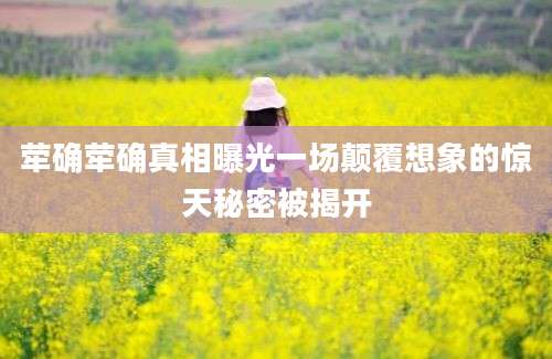 荦确荦确真相曝光一场颠覆想象的惊天秘密被揭开