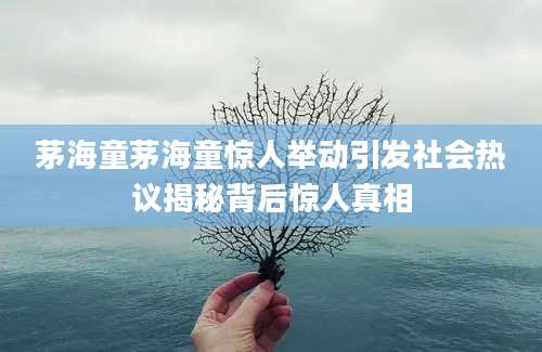 茅海童茅海童惊人举动引发社会热议揭秘背后惊人真相