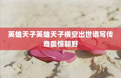 英雄天子英雄天子横空出世谱写传奇震惊朝野