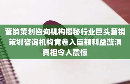 营销策划咨询机构揭秘行业巨头营销策划咨询机构竟卷入巨额利益漩涡真相令人震惊