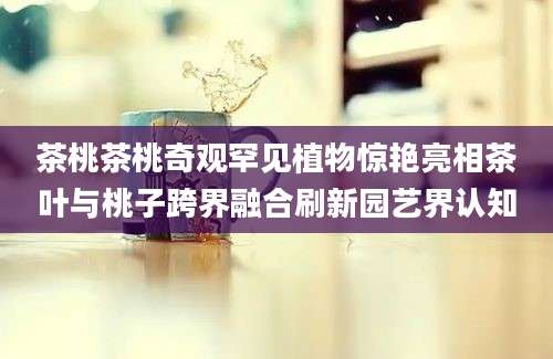 茶桃茶桃奇观罕见植物惊艳亮相茶叶与桃子跨界融合刷新园艺界认知