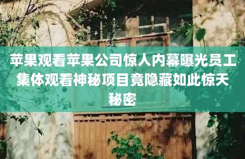 苹果观看苹果公司惊人内幕曝光员工集体观看神秘项目竟隐藏如此惊天秘密