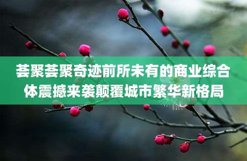 荟聚荟聚奇迹前所未有的商业综合体震撼来袭颠覆城市繁华新格局