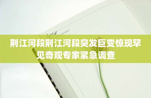 荆江河段荆江河段突发巨变惊现罕见奇观专家紧急调查