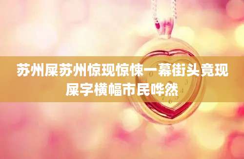 苏州屎苏州惊现惊悚一幕街头竟现屎字横幅市民哗然
