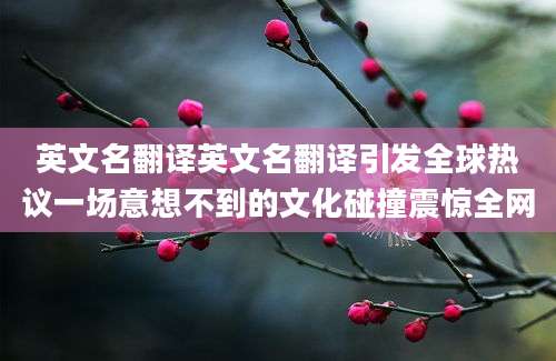 英文名翻译英文名翻译引发全球热议一场意想不到的文化碰撞震惊全网