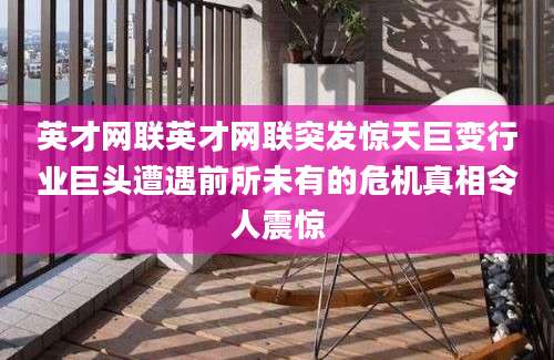 英才网联英才网联突发惊天巨变行业巨头遭遇前所未有的危机真相令人震惊
