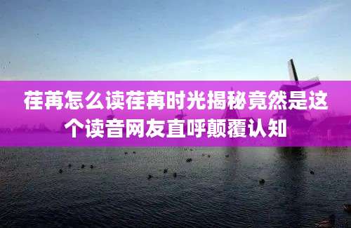 荏苒怎么读荏苒时光揭秘竟然是这个读音网友直呼颠覆认知