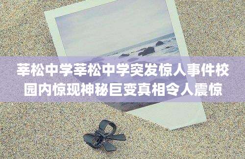 莘松中学莘松中学突发惊人事件校园内惊现神秘巨变真相令人震惊