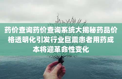 药价查询药价查询系统大揭秘药品价格透明化引发行业巨震患者用药成本将迎革命性变化