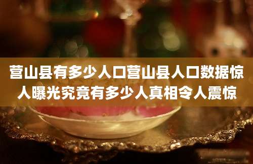 营山县有多少人口营山县人口数据惊人曝光究竟有多少人真相令人震惊