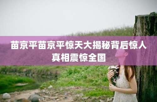 苗京平苗京平惊天大揭秘背后惊人真相震惊全国