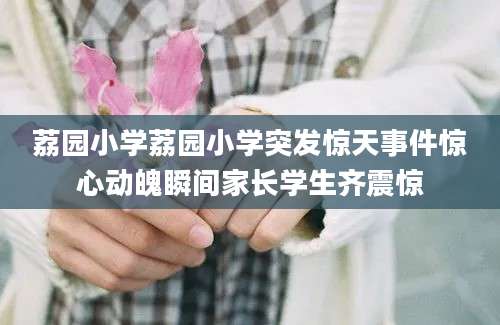 荔园小学荔园小学突发惊天事件惊心动魄瞬间家长学生齐震惊
