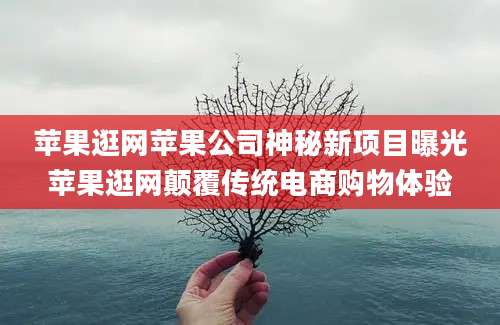 苹果逛网苹果公司神秘新项目曝光苹果逛网颠覆传统电商购物体验