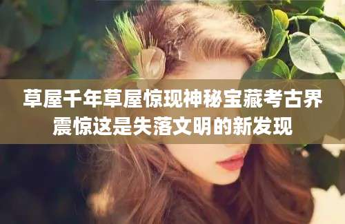 草屋千年草屋惊现神秘宝藏考古界震惊这是失落文明的新发现