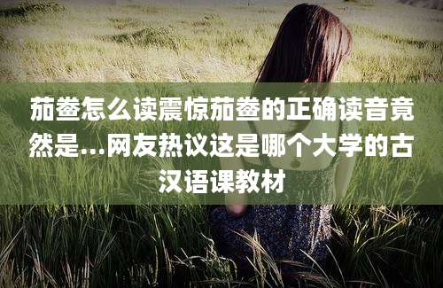 茄鲞怎么读震惊茄鲞的正确读音竟然是...网友热议这是哪个大学的古汉语课教材