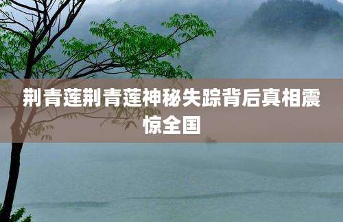 荆青莲荆青莲神秘失踪背后真相震惊全国