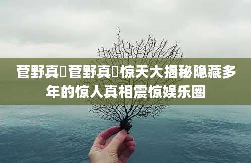 菅野真穂菅野真穂惊天大揭秘隐藏多年的惊人真相震惊娱乐圈