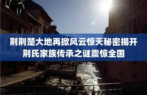 荆荆楚大地再掀风云惊天秘密揭开荆氏家族传承之谜震惊全国