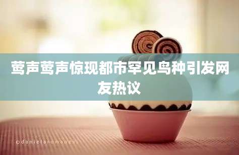 莺声莺声惊现都市罕见鸟种引发网友热议
