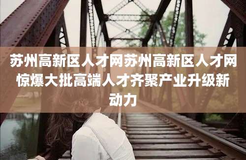 苏州高新区人才网苏州高新区人才网惊爆大批高端人才齐聚产业升级新动力