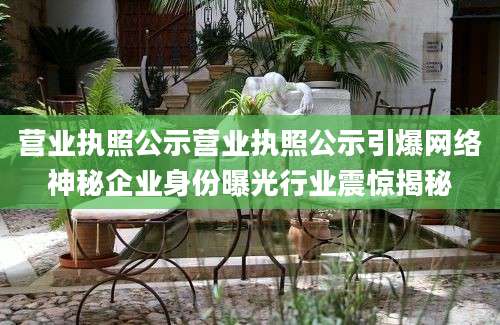 营业执照公示营业执照公示引爆网络神秘企业身份曝光行业震惊揭秘