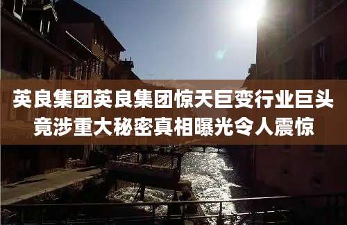 英良集团英良集团惊天巨变行业巨头竟涉重大秘密真相曝光令人震惊
