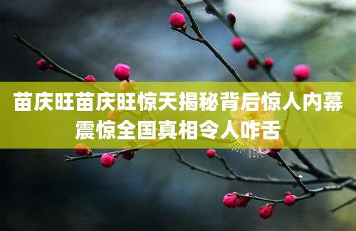苗庆旺苗庆旺惊天揭秘背后惊人内幕震惊全国真相令人咋舌
