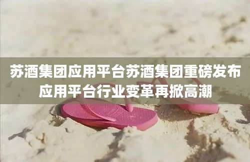 苏酒集团应用平台苏酒集团重磅发布应用平台行业变革再掀高潮