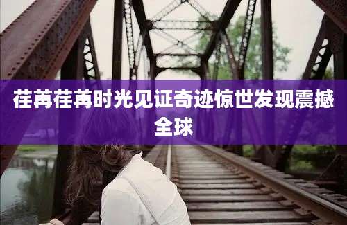 荏苒荏苒时光见证奇迹惊世发现震撼全球