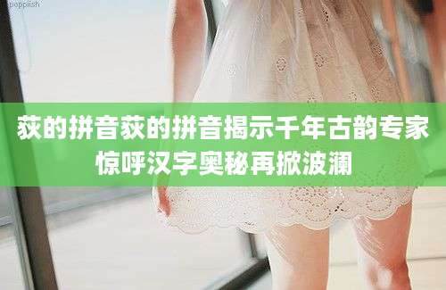 荻的拼音荻的拼音揭示千年古韵专家惊呼汉字奥秘再掀波澜