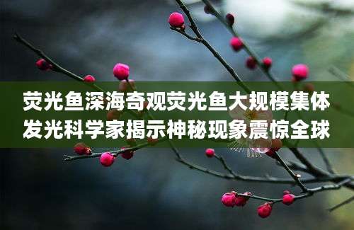 荧光鱼深海奇观荧光鱼大规模集体发光科学家揭示神秘现象震惊全球