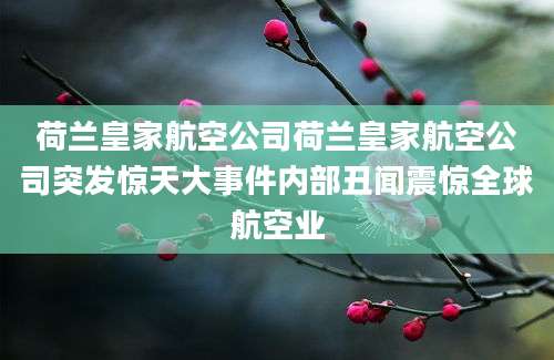荷兰皇家航空公司荷兰皇家航空公司突发惊天大事件内部丑闻震惊全球航空业