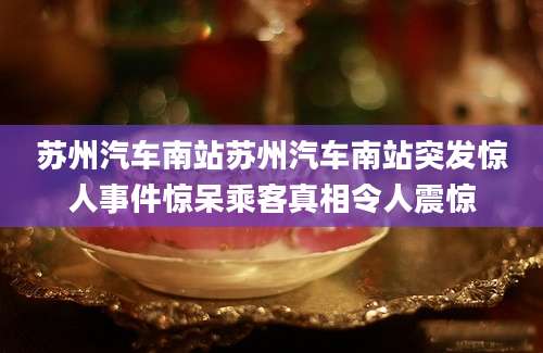 苏州汽车南站苏州汽车南站突发惊人事件惊呆乘客真相令人震惊