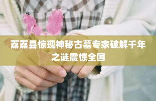 荔荔县惊现神秘古墓专家破解千年之谜震惊全国