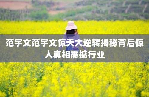 范宇文范宇文惊天大逆转揭秘背后惊人真相震撼行业