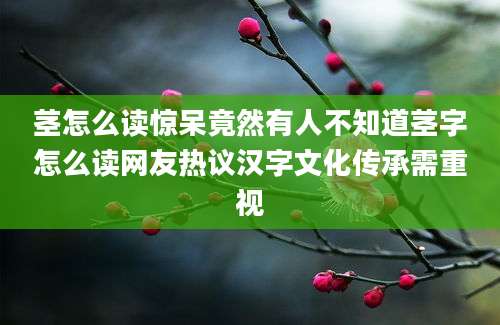 茎怎么读惊呆竟然有人不知道茎字怎么读网友热议汉字文化传承需重视