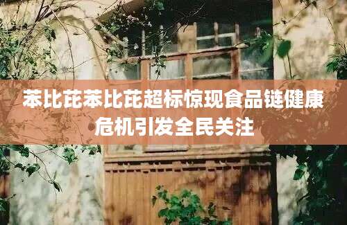 苯比芘苯比芘超标惊现食品链健康危机引发全民关注