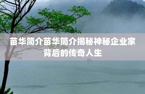 苗华简介苗华简介揭秘神秘企业家背后的传奇人生