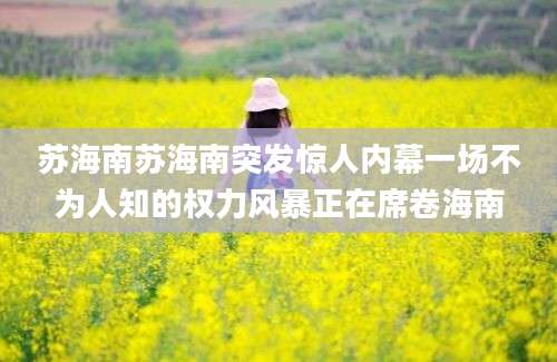 苏海南苏海南突发惊人内幕一场不为人知的权力风暴正在席卷海南