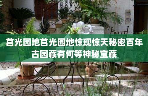 莒光园地莒光园地惊现惊天秘密百年古园藏有何等神秘宝藏