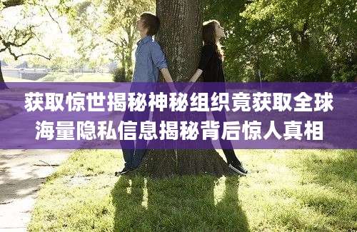 获取惊世揭秘神秘组织竟获取全球海量隐私信息揭秘背后惊人真相