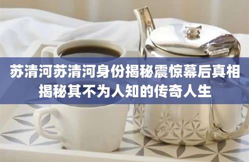 苏清河苏清河身份揭秘震惊幕后真相揭秘其不为人知的传奇人生