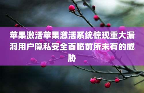 苹果激活苹果激活系统惊现重大漏洞用户隐私安全面临前所未有的威胁